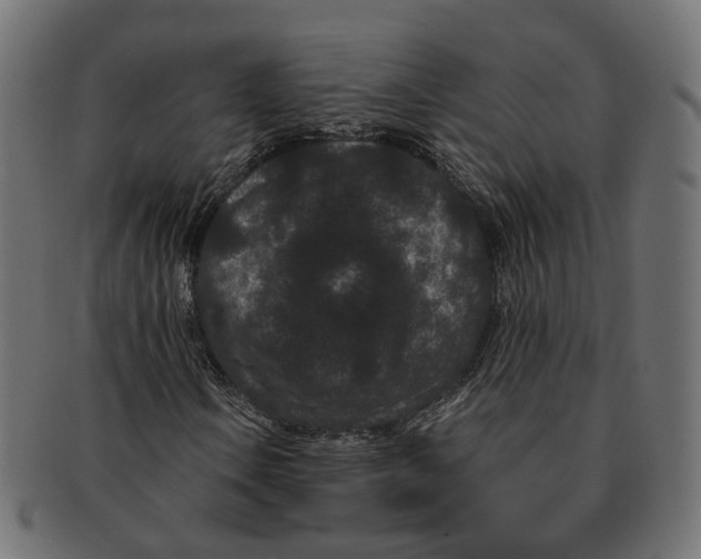 X0000091731106200709211015