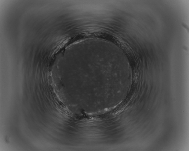 X0000091731108200709211015