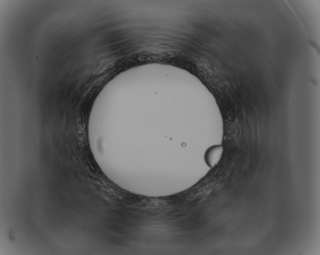 X0000091731109200709211015