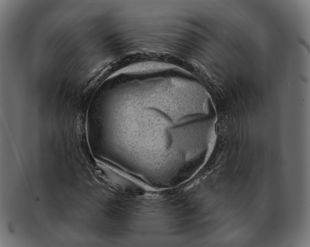 X0000091731110200709211015