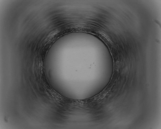 X0000091731111200709211015