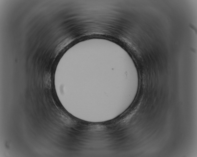 X0000091731113200709211015