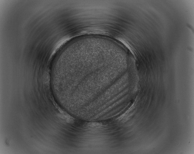 X0000091731115200709211015