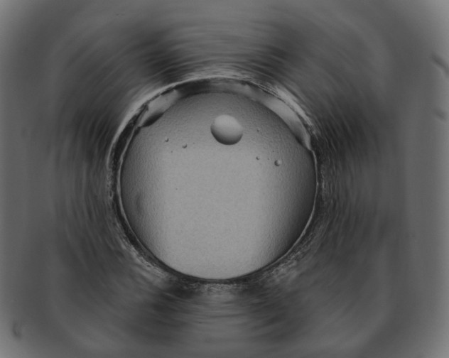 X0000091731116200709211015