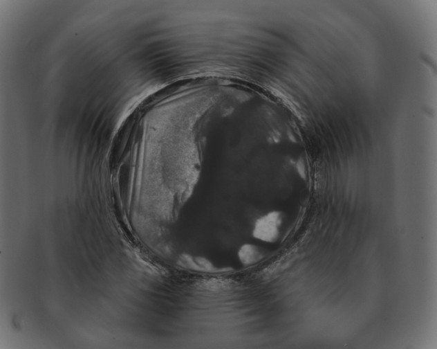 X0000091731117200709211015