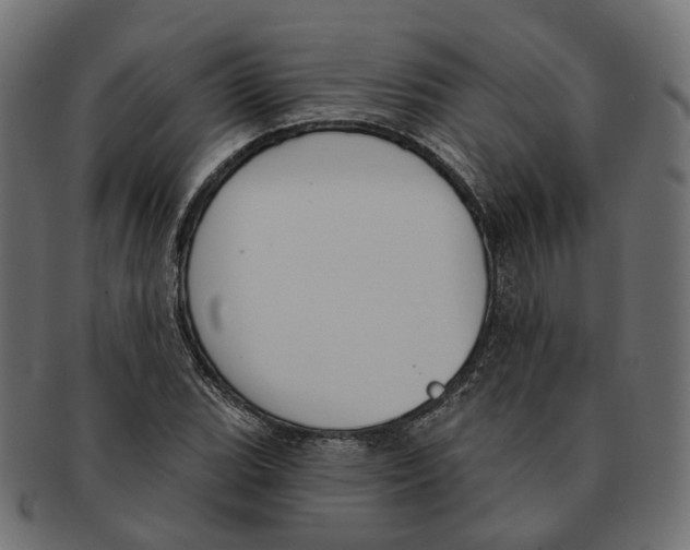 X0000091731119200709211015