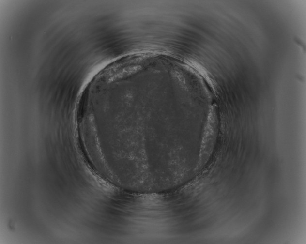 X0000091731120200709211015