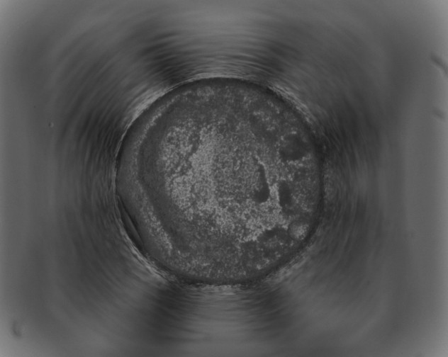 X0000091731121200709211015