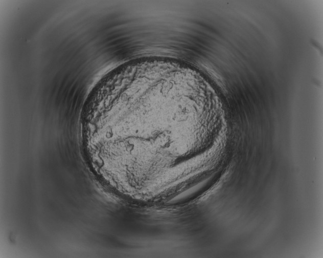 X0000091731125200709211015