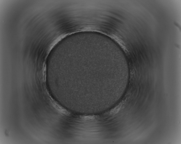 X0000091731126200709211015