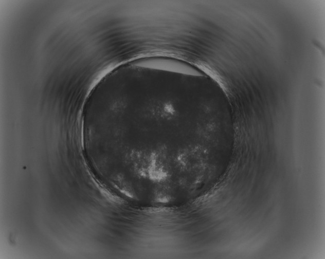 X0000091731127200709211015