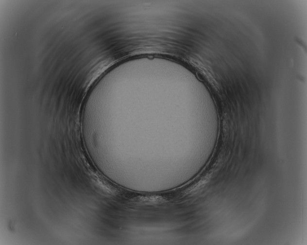 X0000091731129200709211015