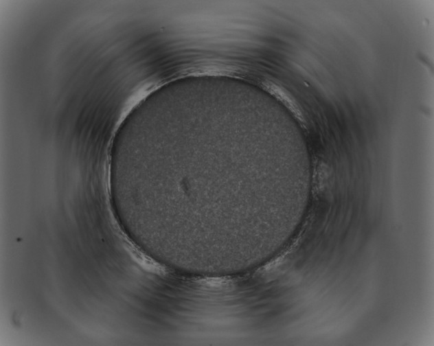 X0000091731130200709211015