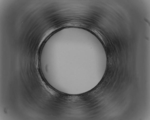 X0000091731131200709211015