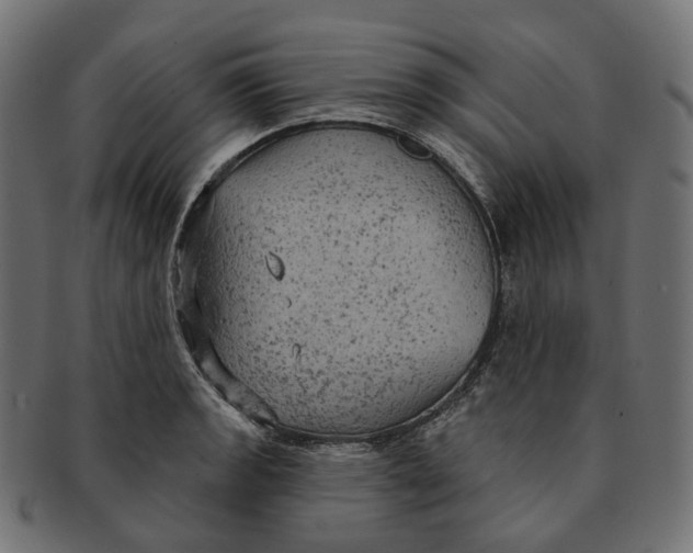 X0000091731133200709211015