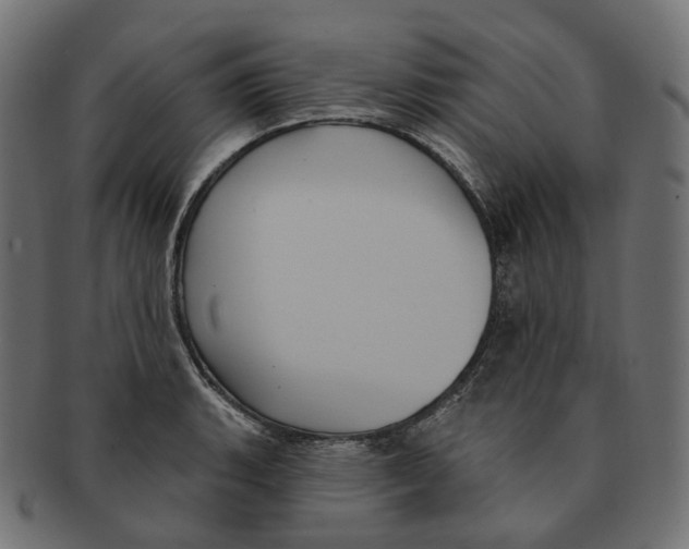 X0000091731135200709211015