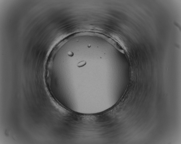 X0000091731136200709211015