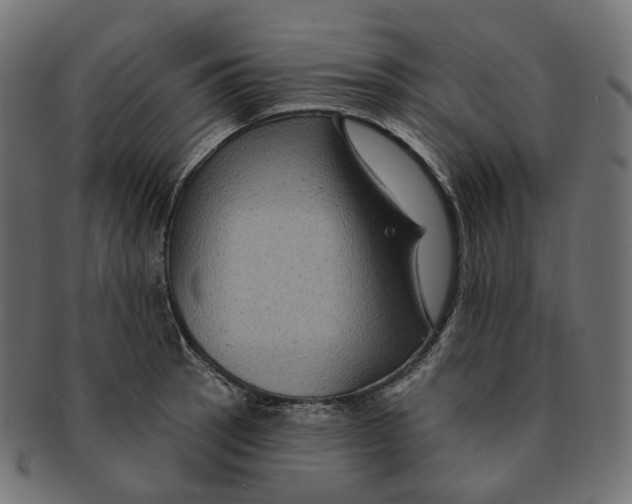 X0000091731137200709211015