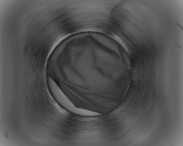 X0000091731140200709211015