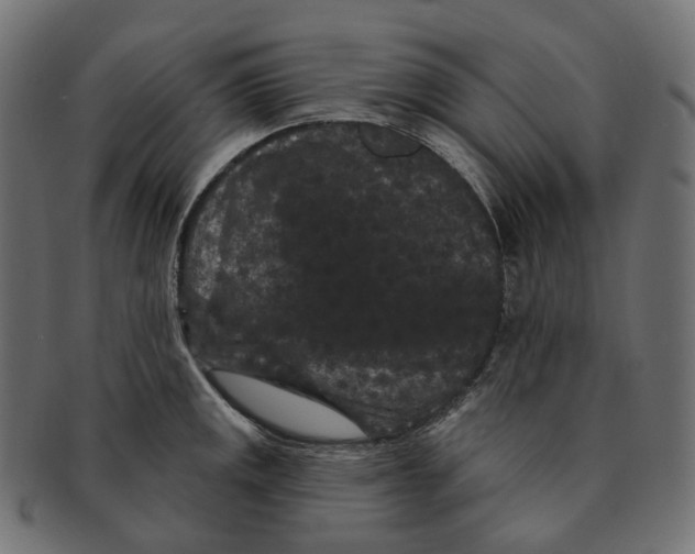 X0000091731141200709211015