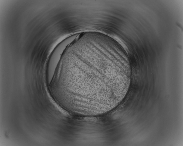 X0000091731142200709211015