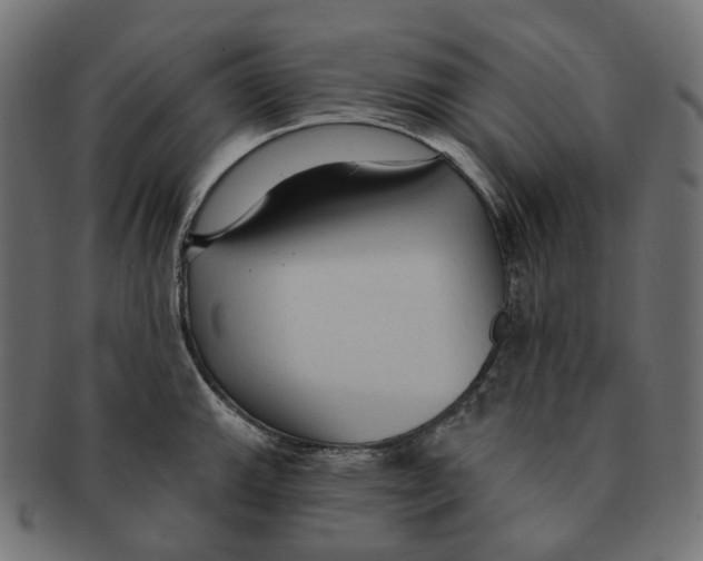 X0000091731143200709211015