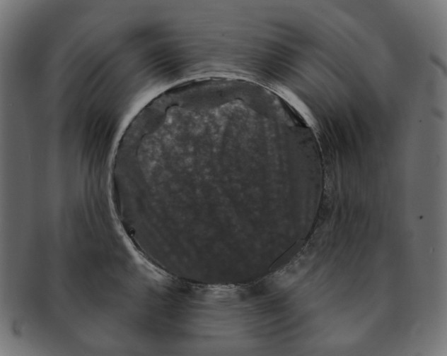 X0000091731144200709211015