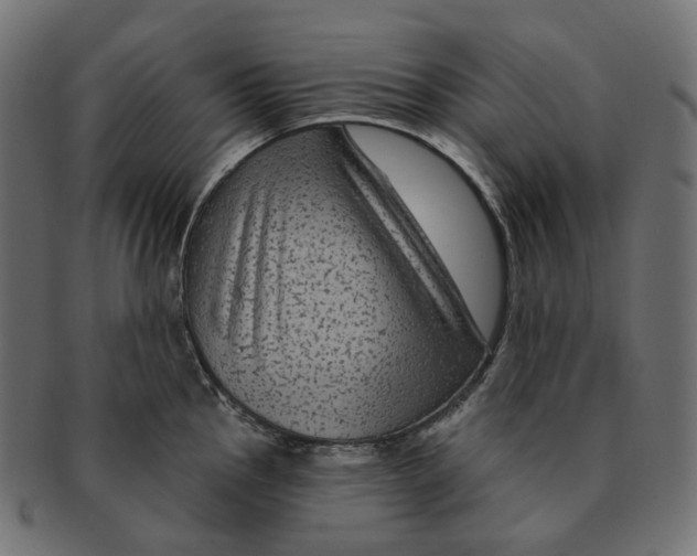 X0000091731145200709211015