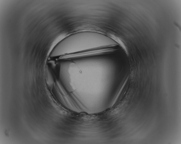 X0000091731146200709211015