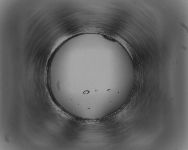 X0000091731147200709211015