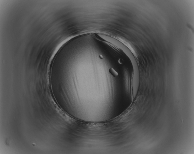 X0000091731148200709211015