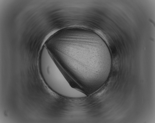 X0000091731149200709211015