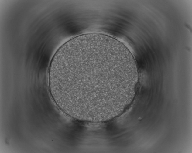 X0000091731150200709211015