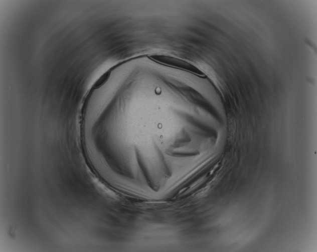 X0000091731151200709211015