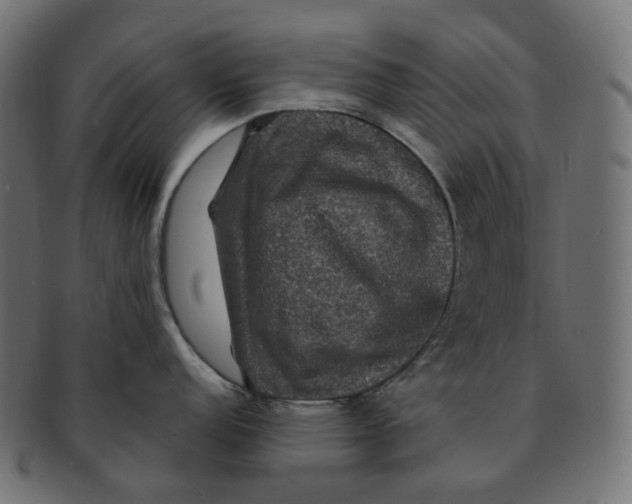 X0000091731152200709211015