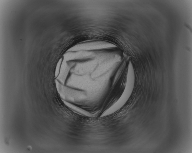 X0000091731153200709211014