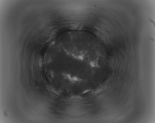 X0000091731154200709211014