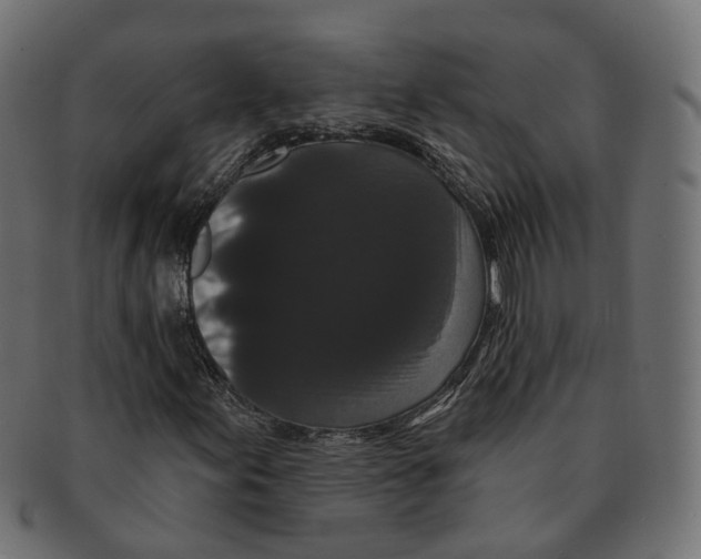 X0000091731155200709211014