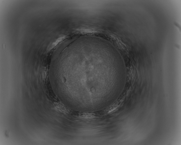 X0000091731157200709211014