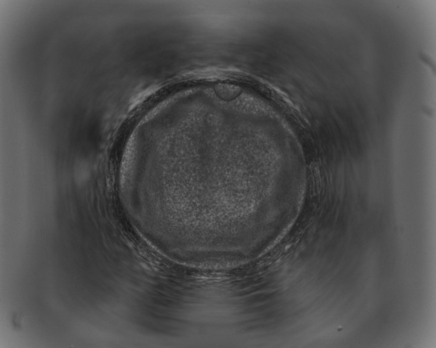 X0000091731158200709211014