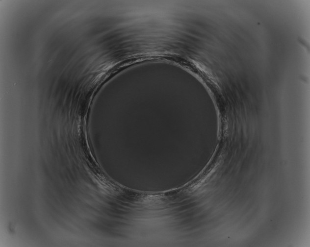 X0000091731161200709211014