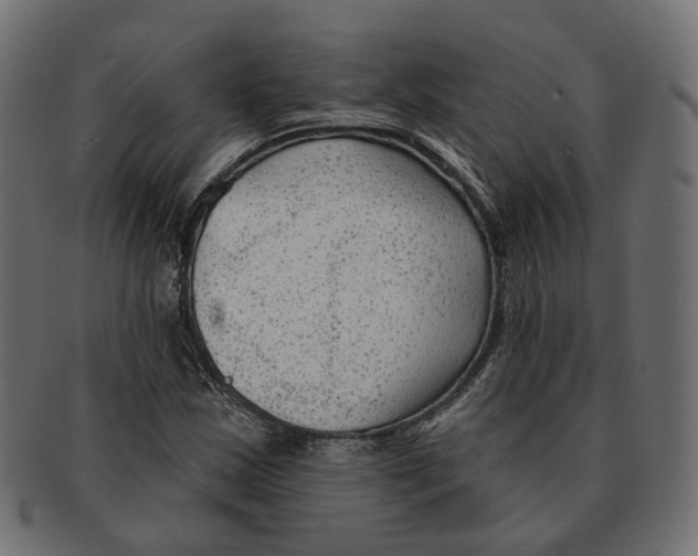 X0000091731163200709211014