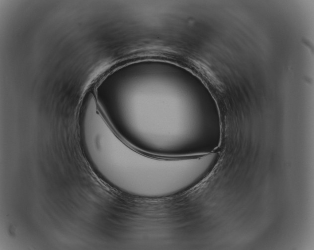 X0000091731164200709211014