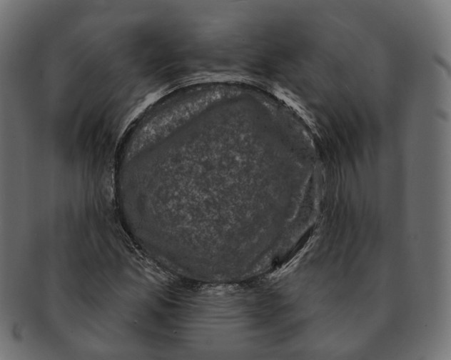 X0000091731165200709211014