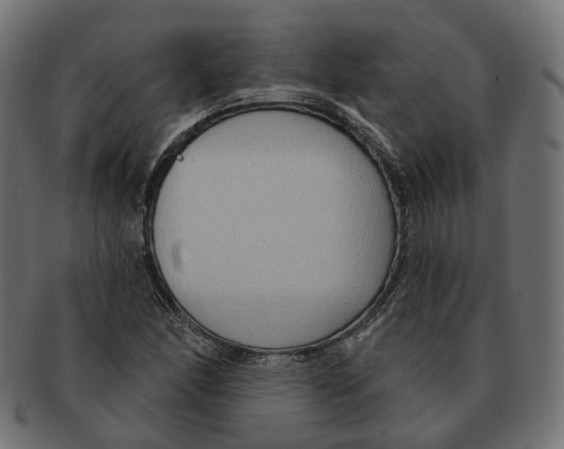 X0000091731166200709211014