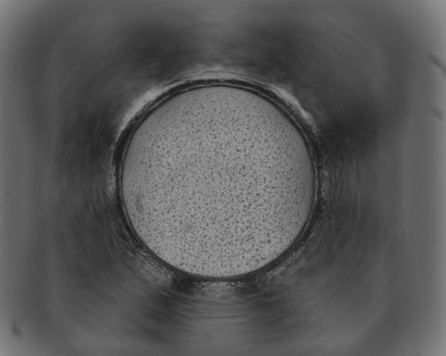 X0000091731167200709211014