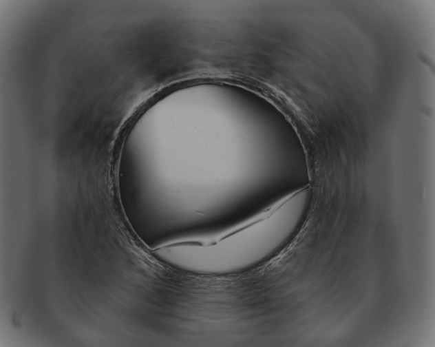 X0000091731168200709211014