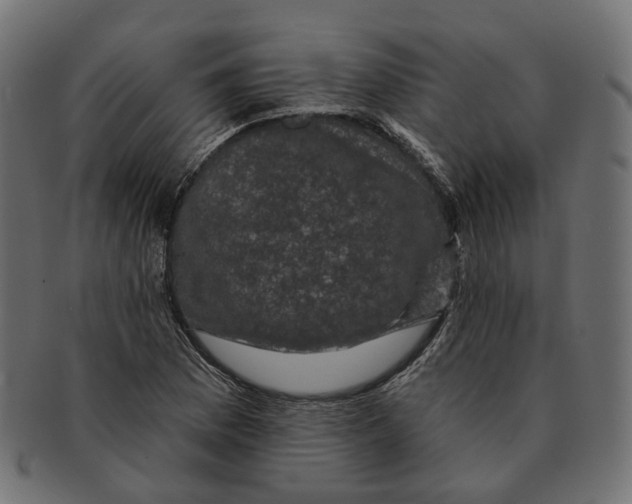 X0000091731169200709211014