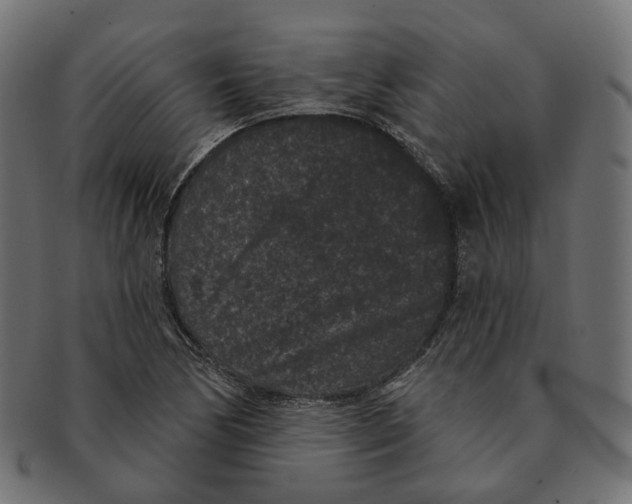 X0000091731170200709211014