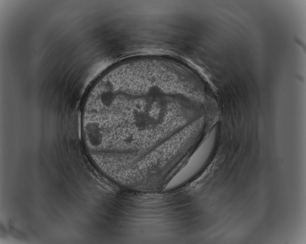 X0000091731171200709211014